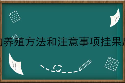 金弹子的养殖方法和注意事项挂果后的管理