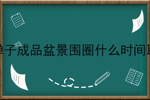 金弹子成品盆景围圈什么时间取掉